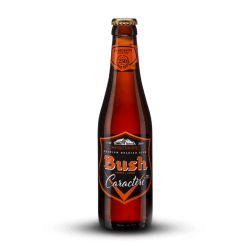 BUSH AMBREE CARACTERE 33cl