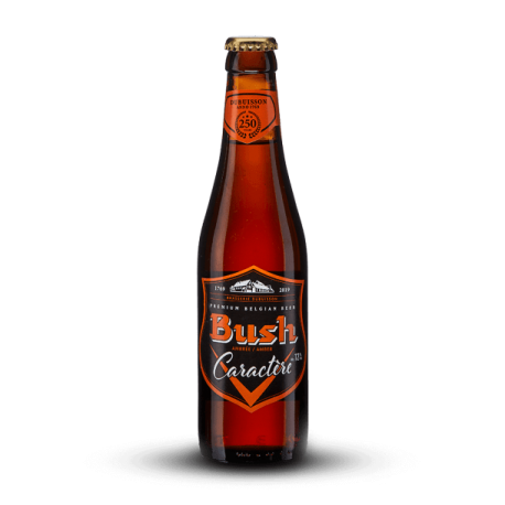 BUSH AMBREE CARACTERE 33cl