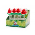 SUCETTE FELKO WATERMELON POP 24 X 17GR