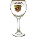 VERRE LUPULUS 25CL